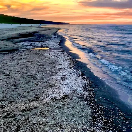 Usedomresidenz Apartament