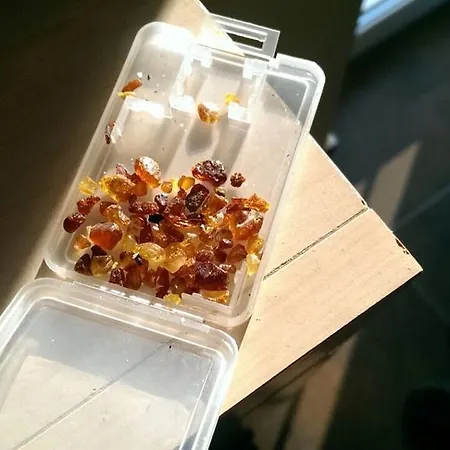 Usedomresidenz アパート *