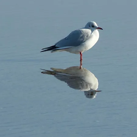 アパート Usedomresidenz