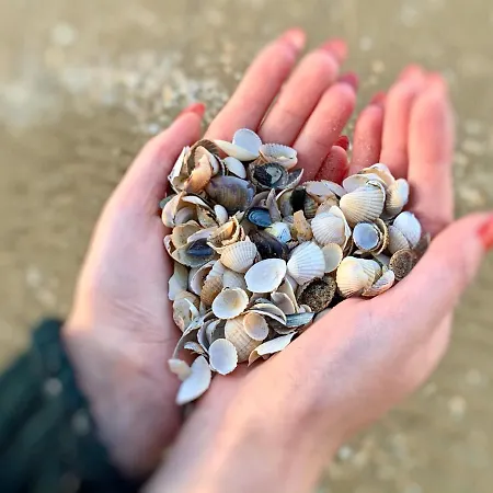 Usedomresidenz アパート